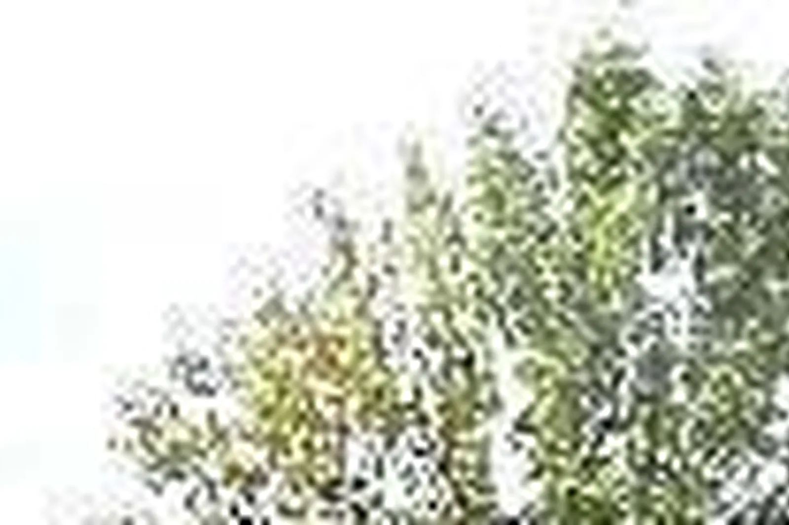 Lieux événementiels, DOMAINE DES PIERRES DORÉES