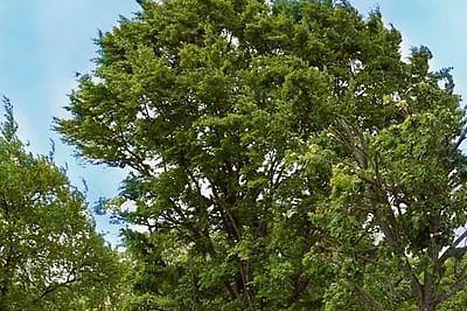 Lieux événementiels, DOMAINE DES ROCHES ****