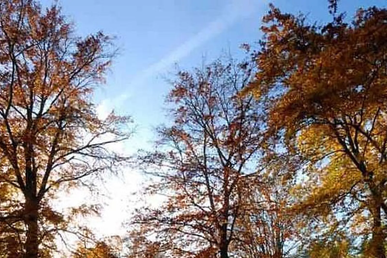 Lieux événementiels, DOMAINE DES ROCHES ****