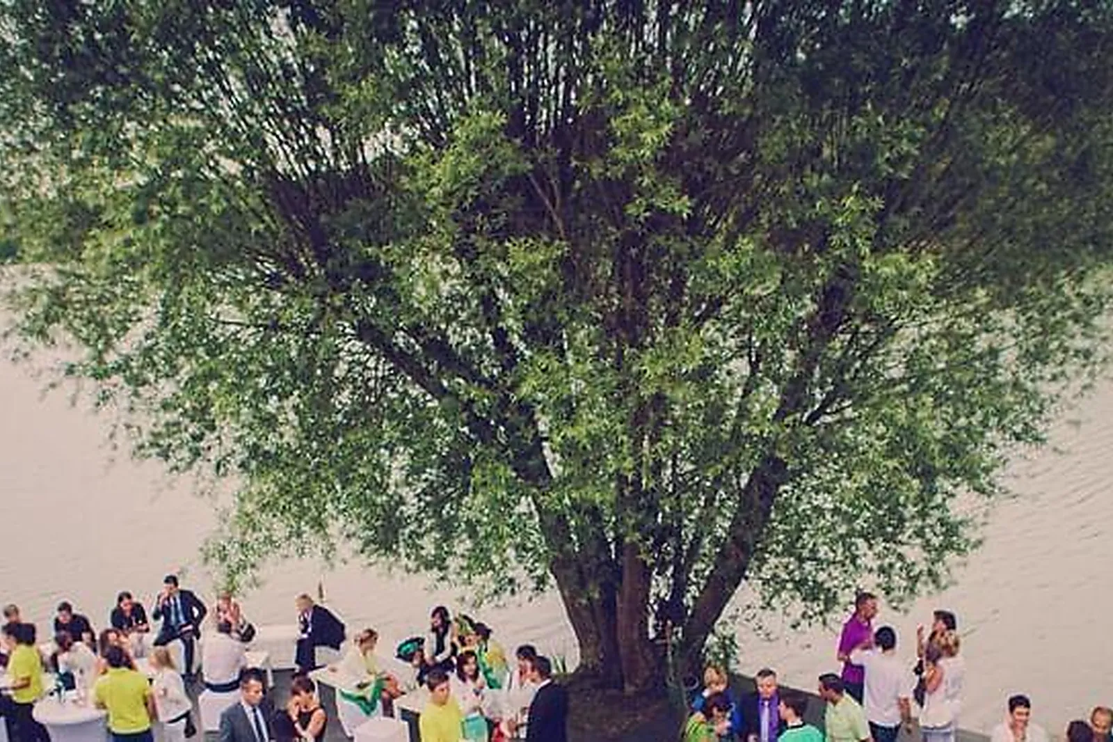 Lieux événementiels, DOMAINE MAYARD