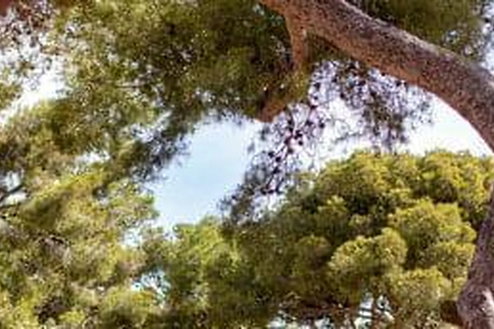 Lieux événementiels, DOMAINE DU LAZARET