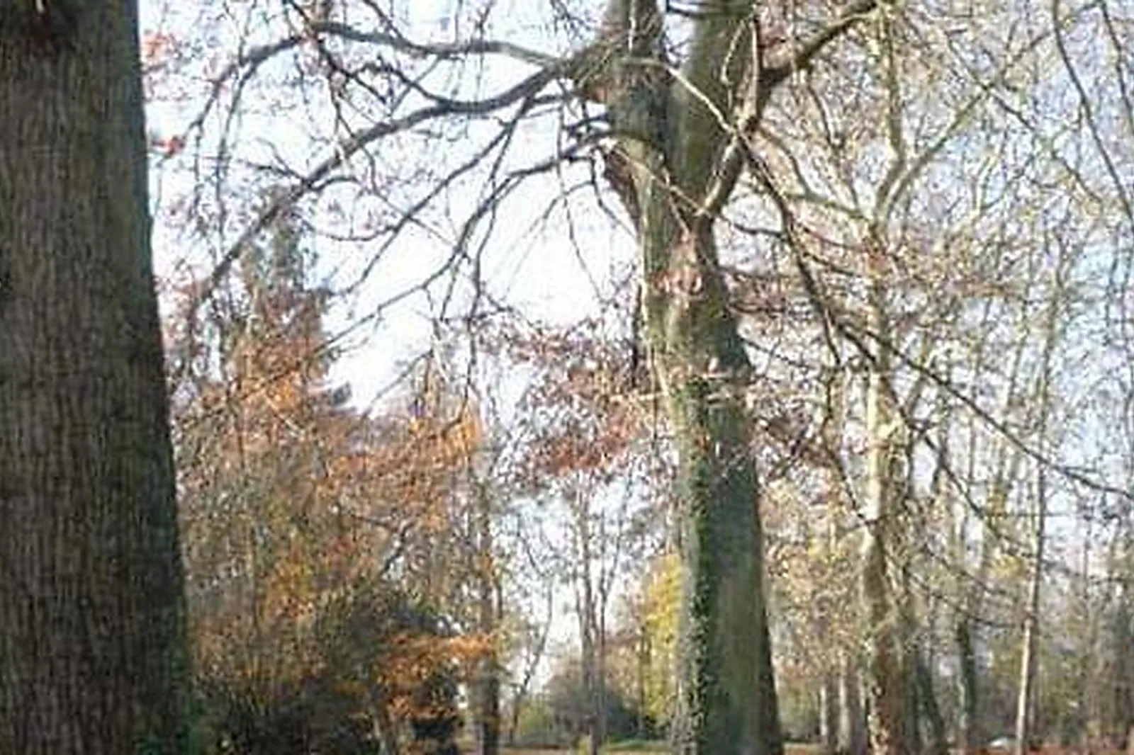 Lieux événementiels, DOMAINE DU MOULIN DES NOUES