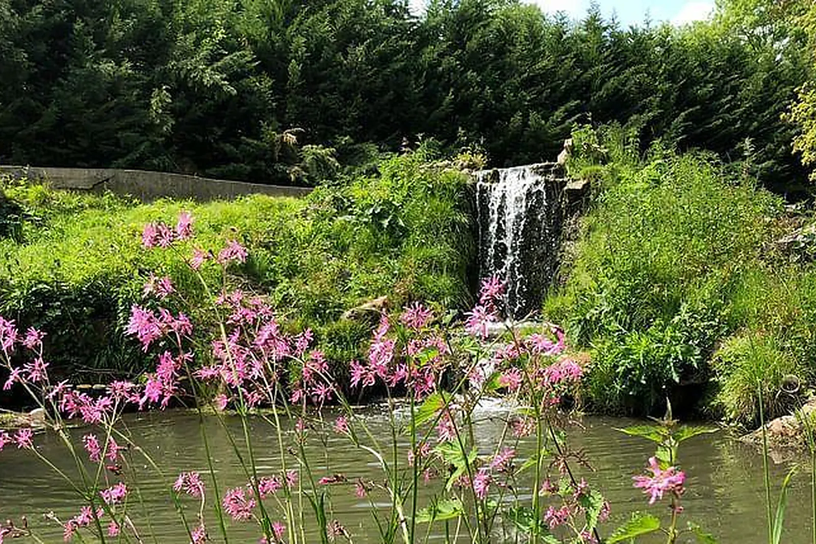 Lieux événementiels, DOMAINE DU PLESSIS