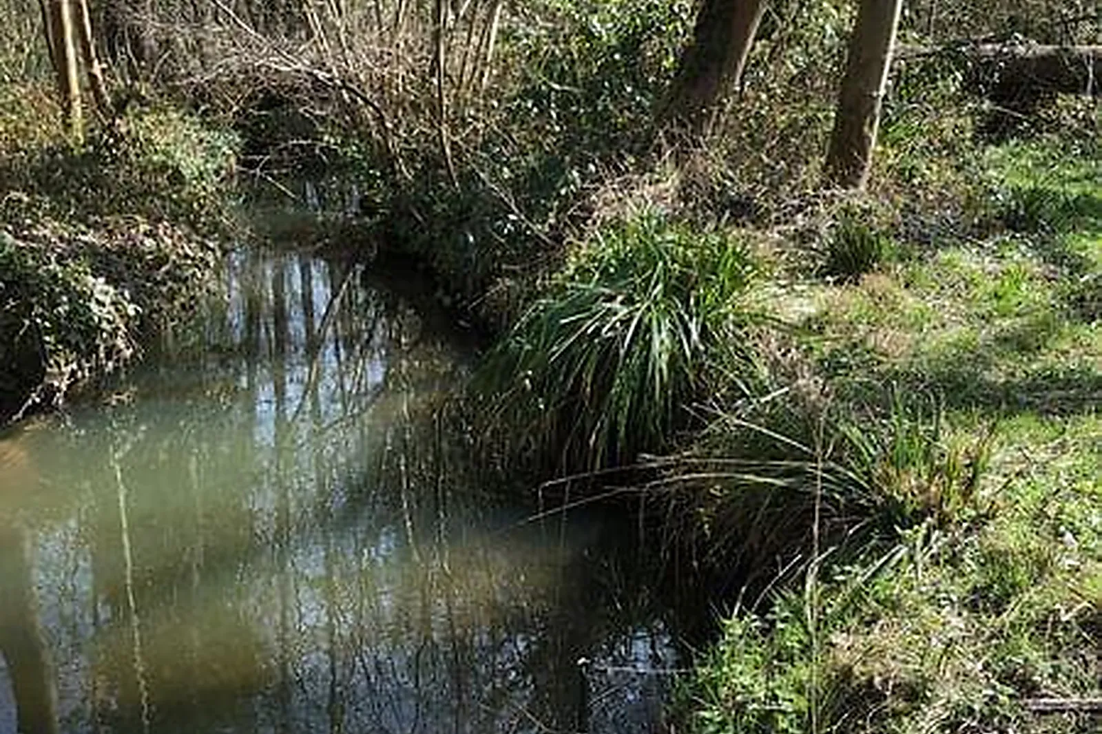 Lieux événementiels, DOMAINE DU PLESSIS