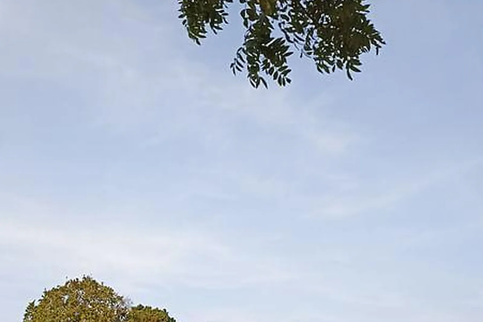 Lieux événementiels, DOMAINE DU CHÂTEAU D'ARCELOT