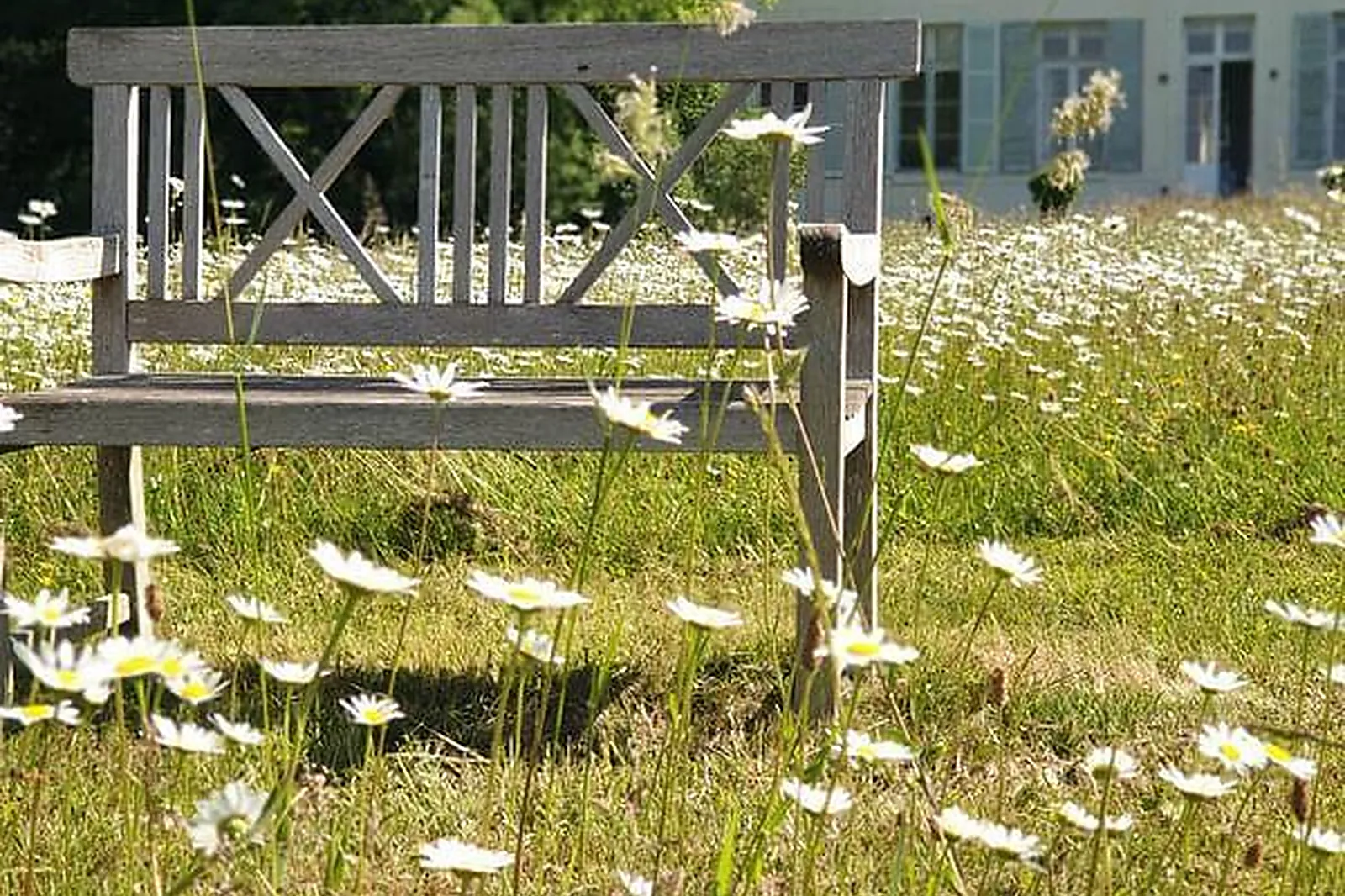 Lieux événementiels, DOMAINE ET CHÂTEAU DE SÉRÉVILLE