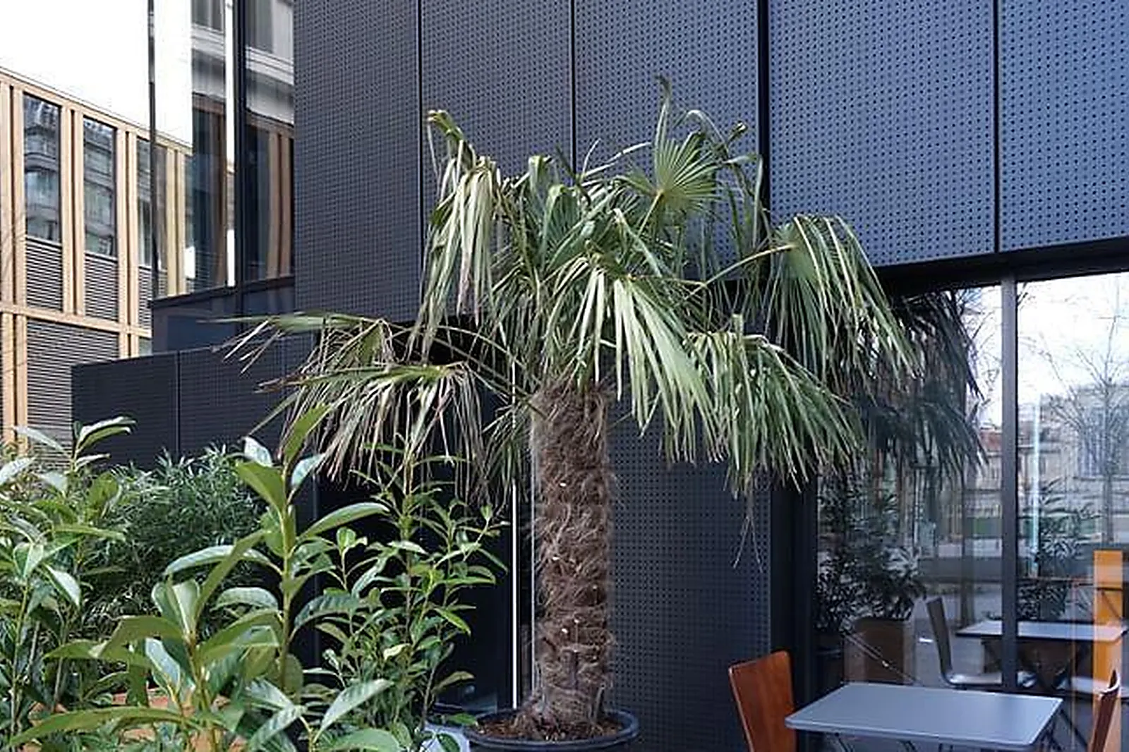 Lieux événementiels, ONLY ENCHÈRES