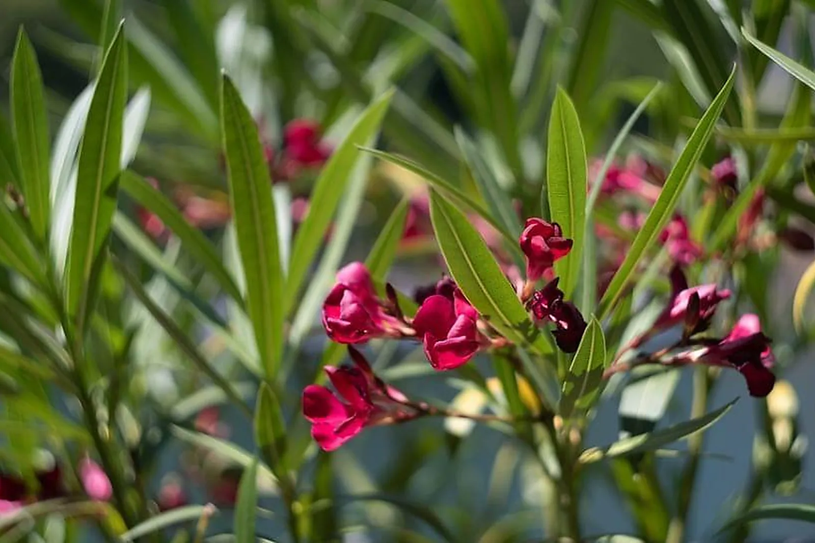 Lieux événementiels, EKO STUDIO - ESPACE ATYPIQUE - LYON CONFLUENCE