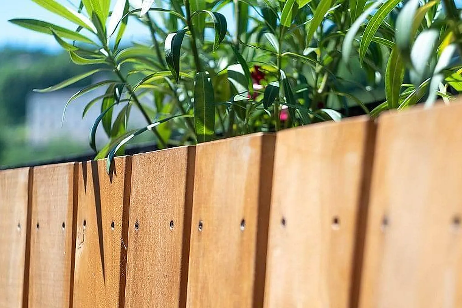 Lieux événementiels, EKO STUDIO - ESPACE ATYPIQUE - LYON CONFLUENCE