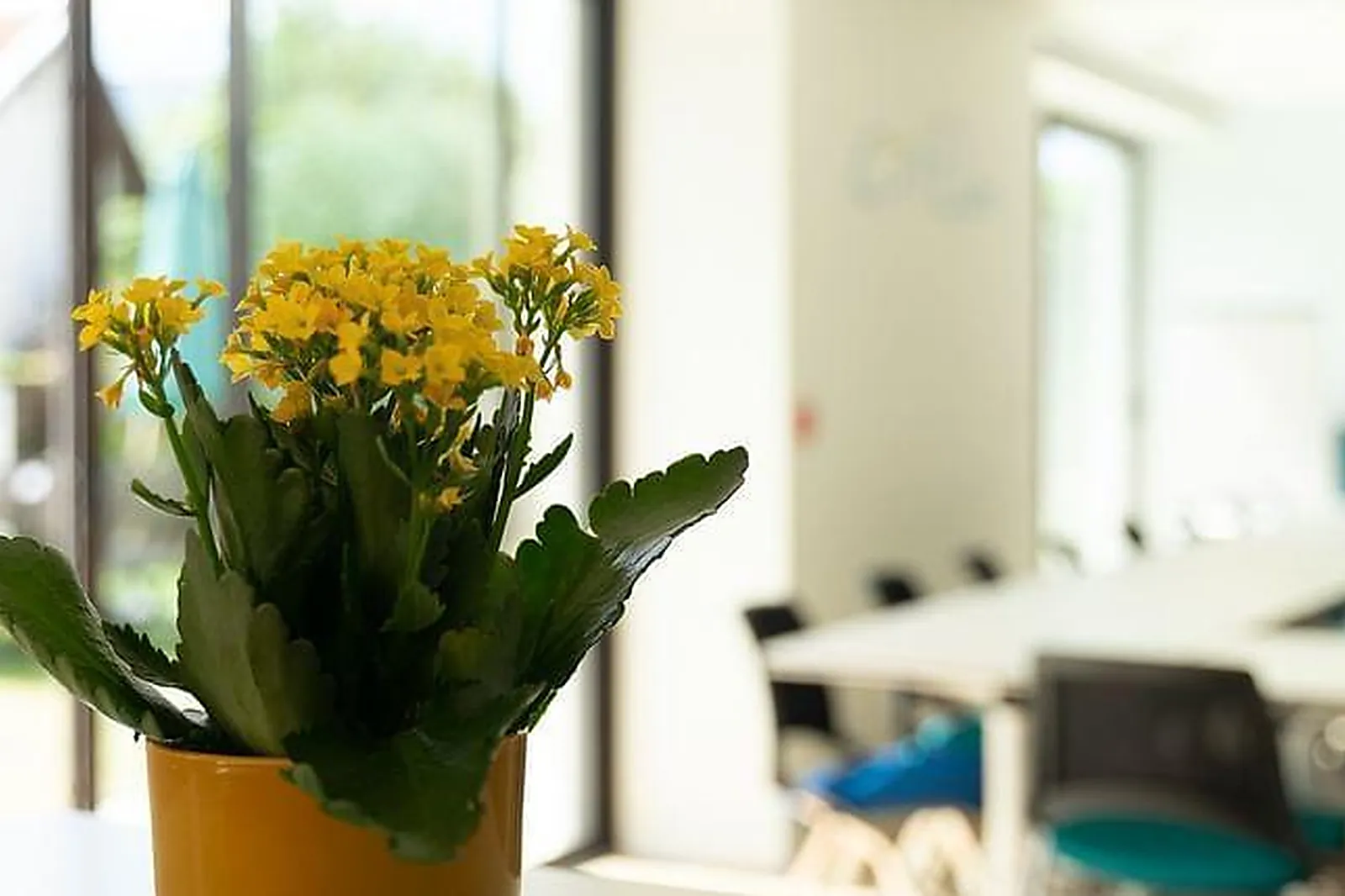 Lieux événementiels, ELAN MAISON ENTREPREUNARIALE