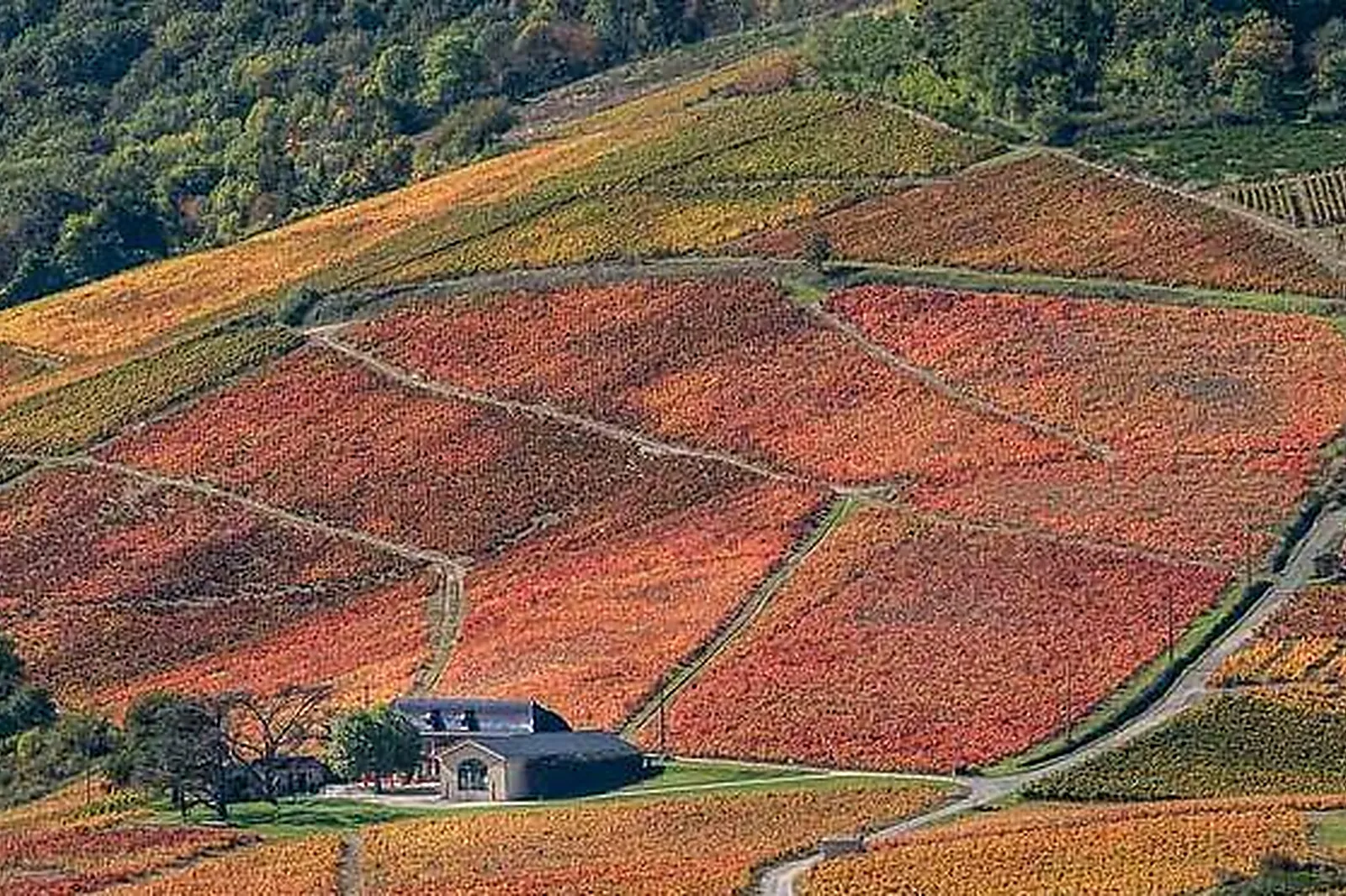 Lieux événementiels, ERMITAGE DE BROUILLY
