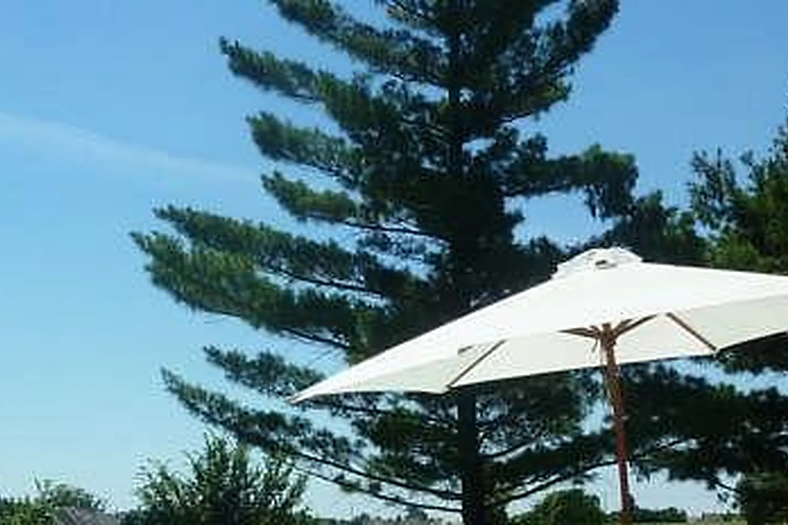 Lieux événementiels, L'ESCA-LAB