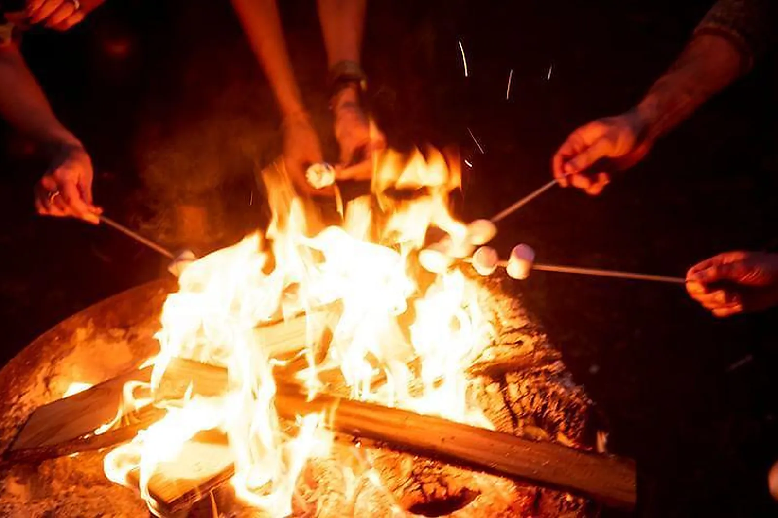 Lieux événementiels, ESCAPE FOREST