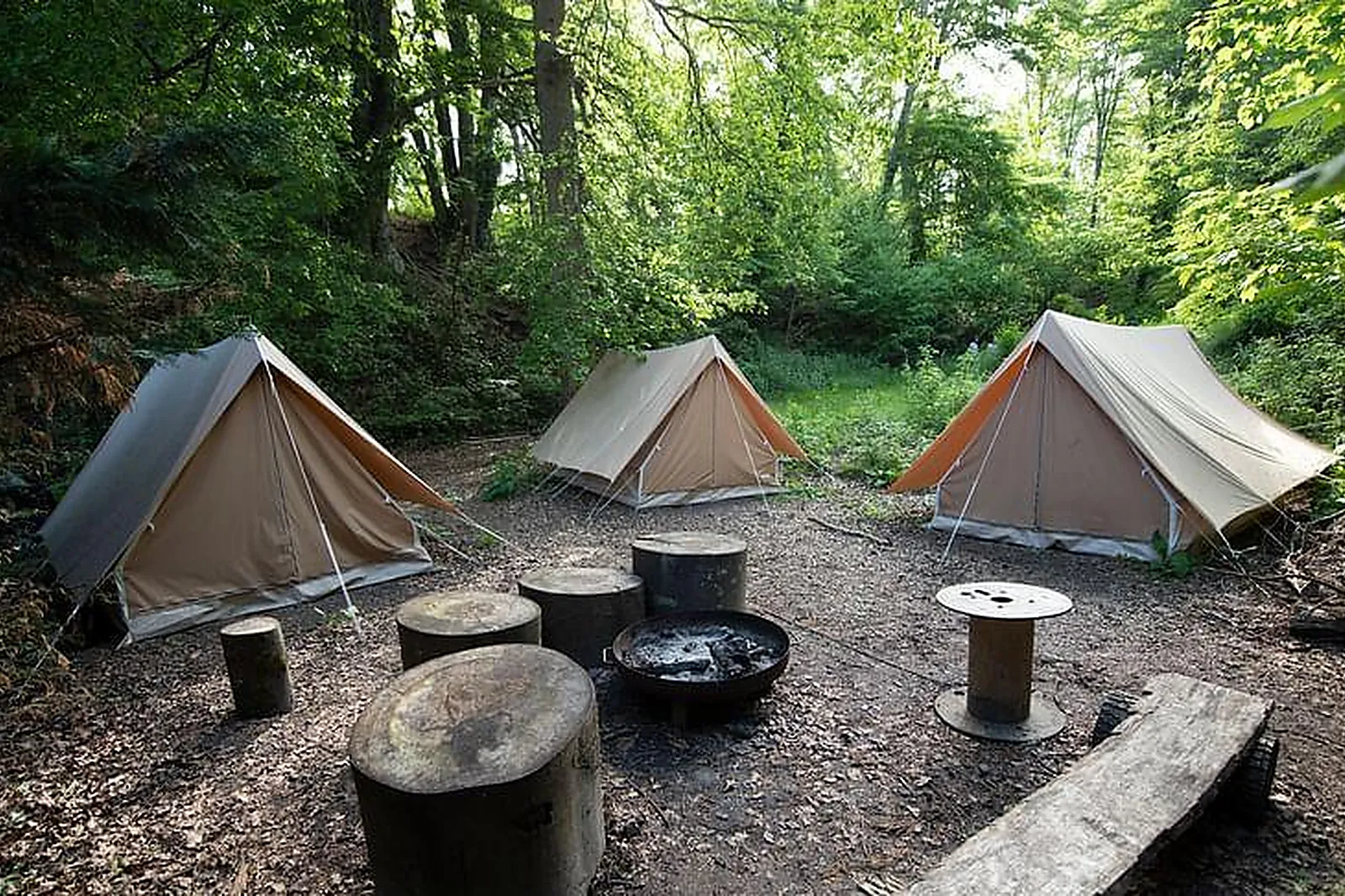 Lieux événementiels, ESCAPE FOREST