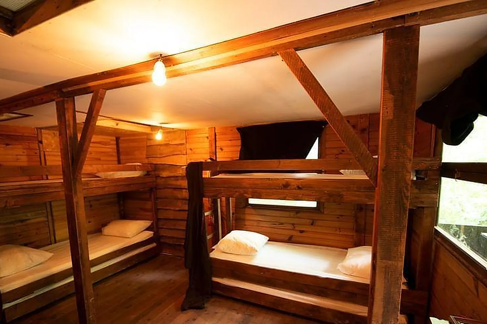 Lieux événementiels, ESCAPE FOREST