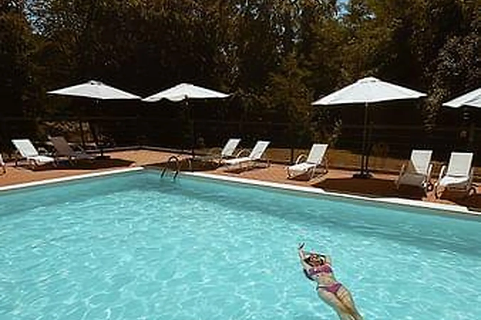 Lieux événementiels, ESCAPE FOREST