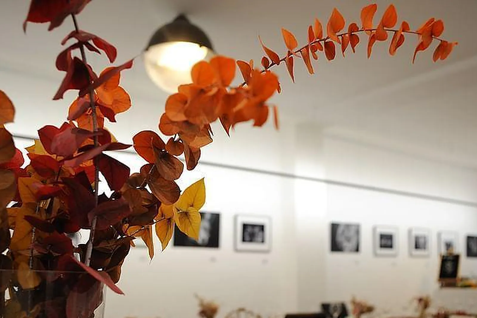 Lieux événementiels, ESPACE BASTILLE