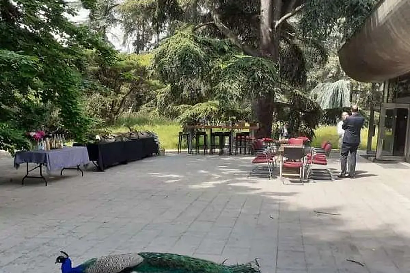 Lieux événementiels, SUPPLY CHAIN MASTERS