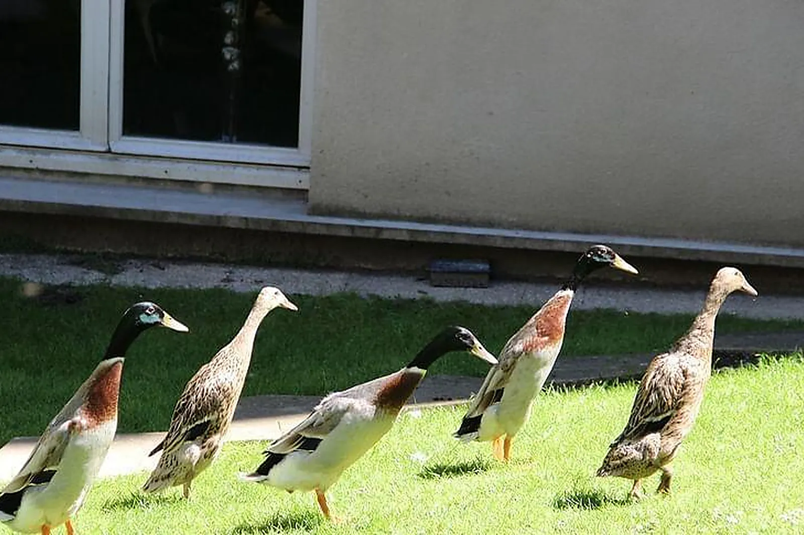 Lieux événementiels, LYON CONSULTANT GROUP