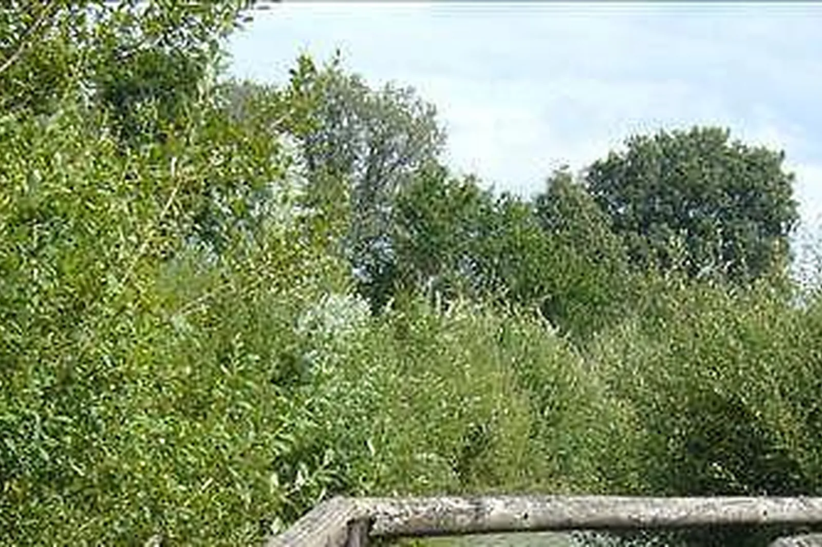 Lieux événementiels, ESPACE LOISIRS LES BILLONNAIS