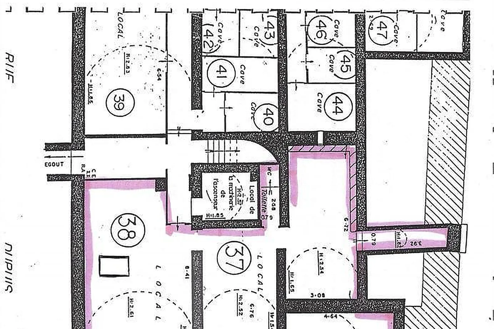 Lieux événementiels, ESPACE VÉGÉTALISÉ