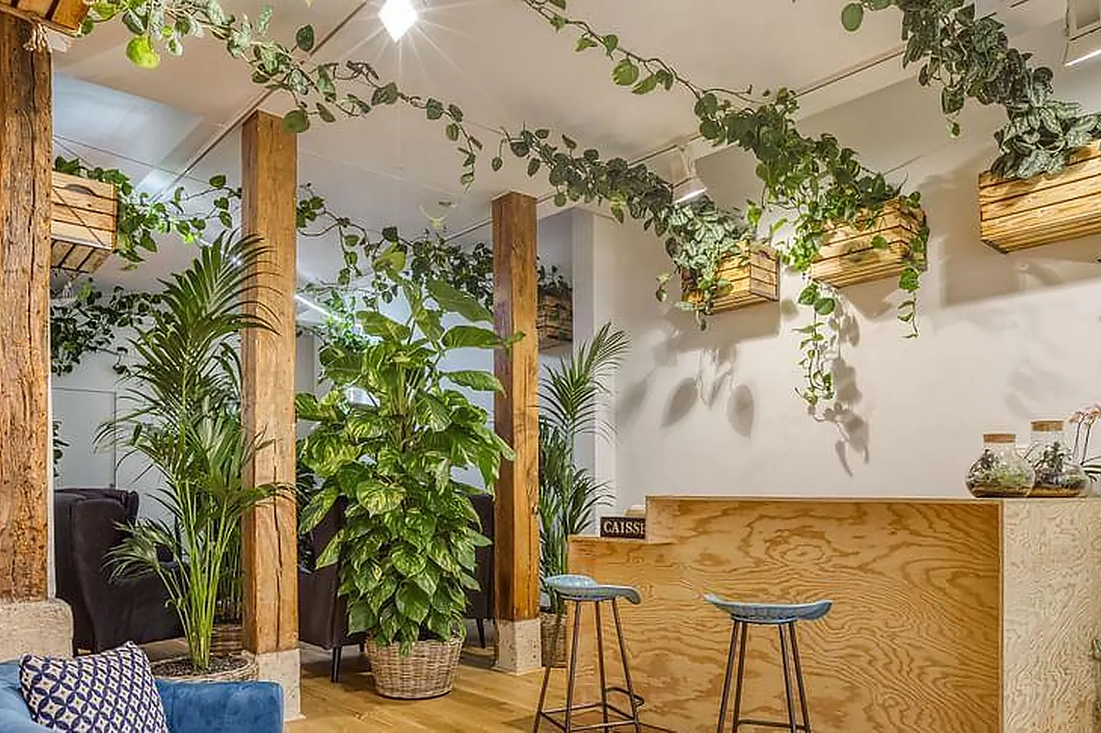 Lieux événementiels, ESPACE VÉGÉTALISÉ