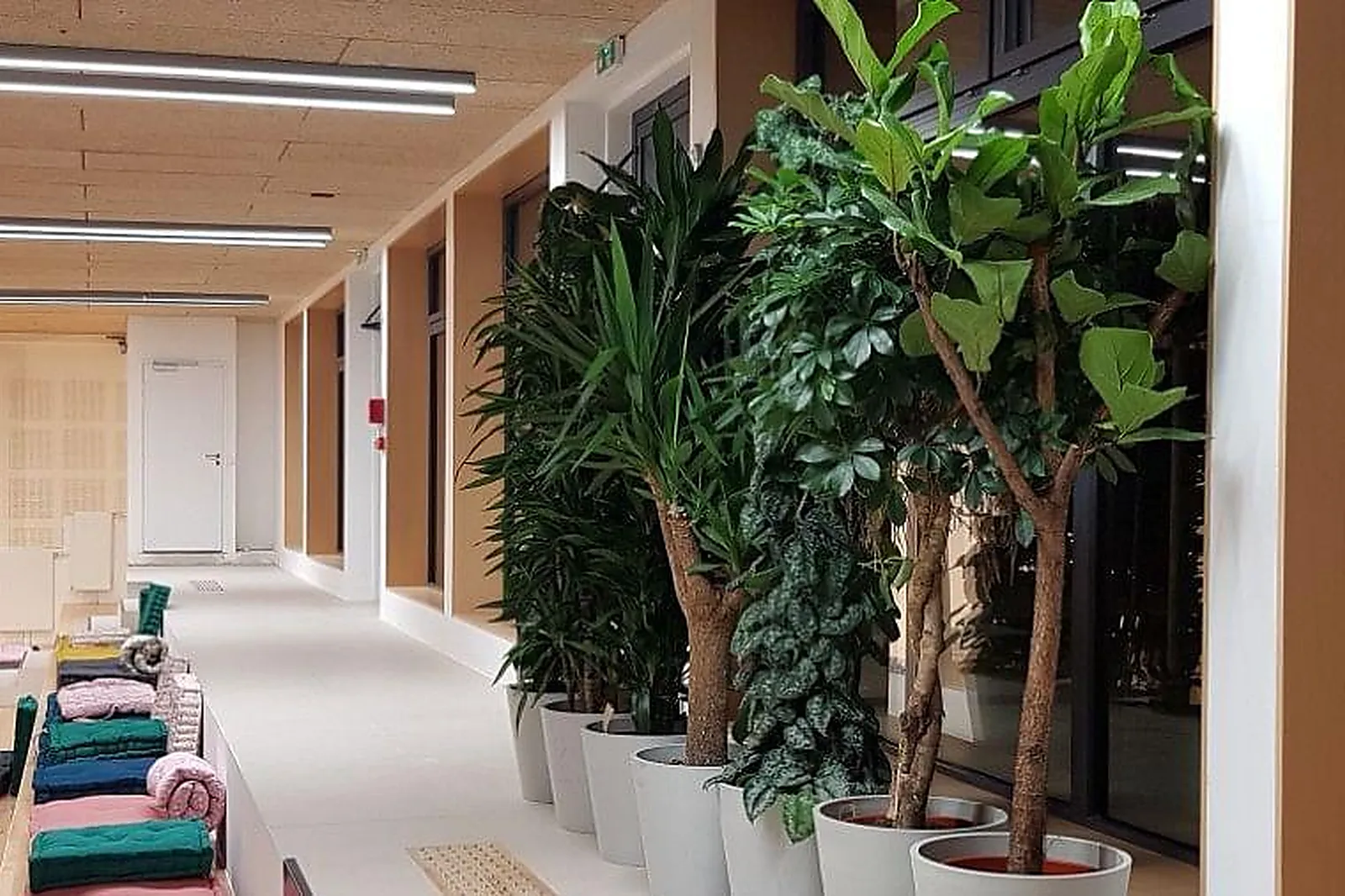 Lieux événementiels, ESPACESRÉUNION.COM BOSSUET