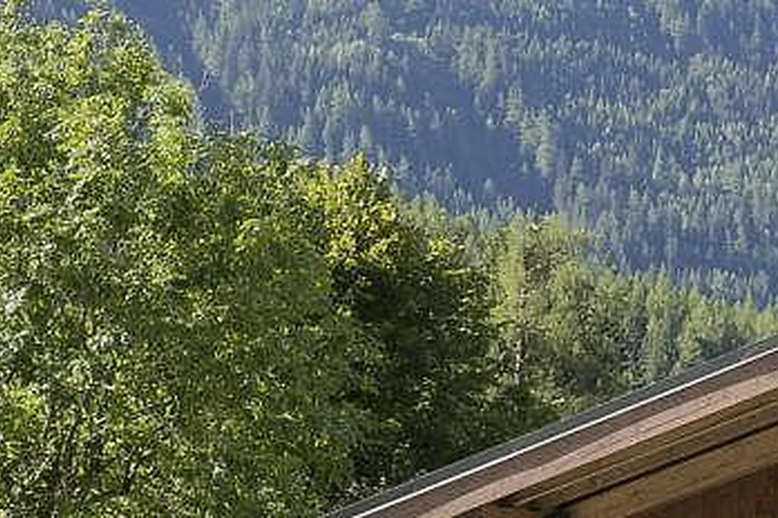 Lieux événementiels, EXCELSIOR CHAMONIX HÔTEL & SPA ****