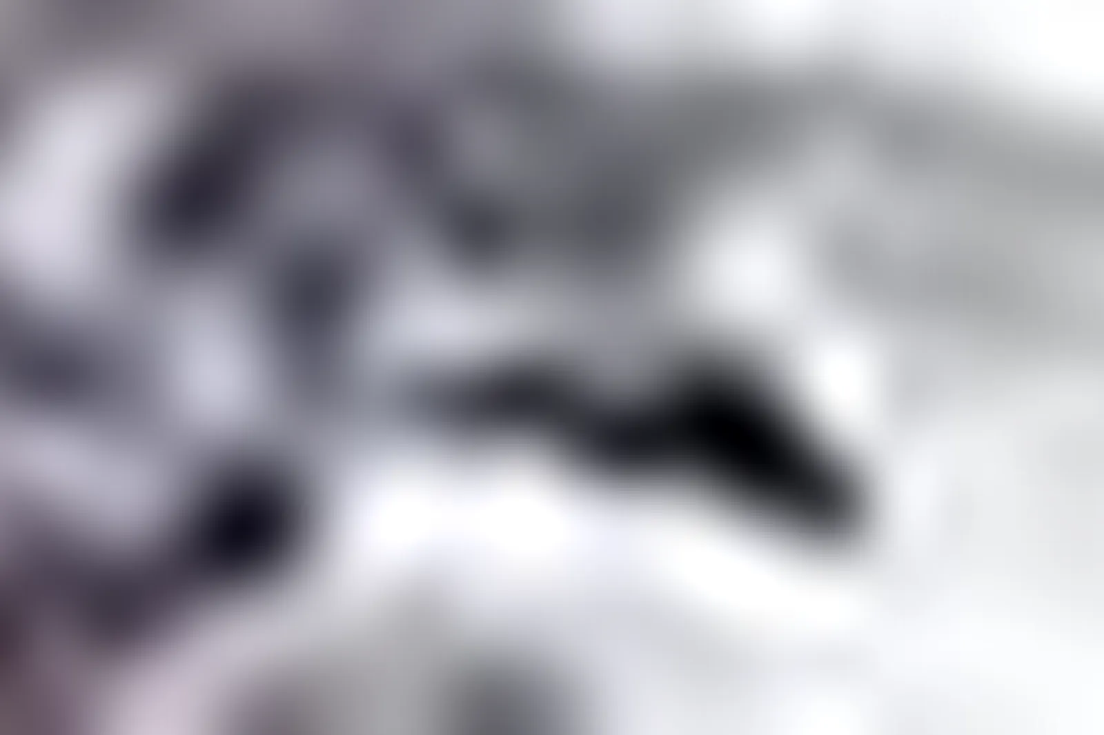 Lieux événementiels, KYRIAD SENS***