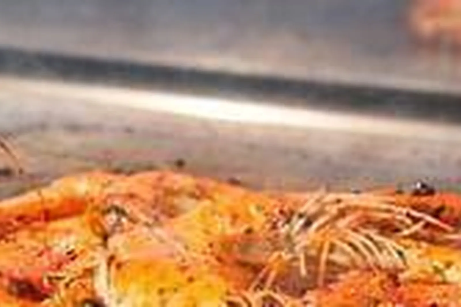 Lieux événementiels, KYRIAD SENS***