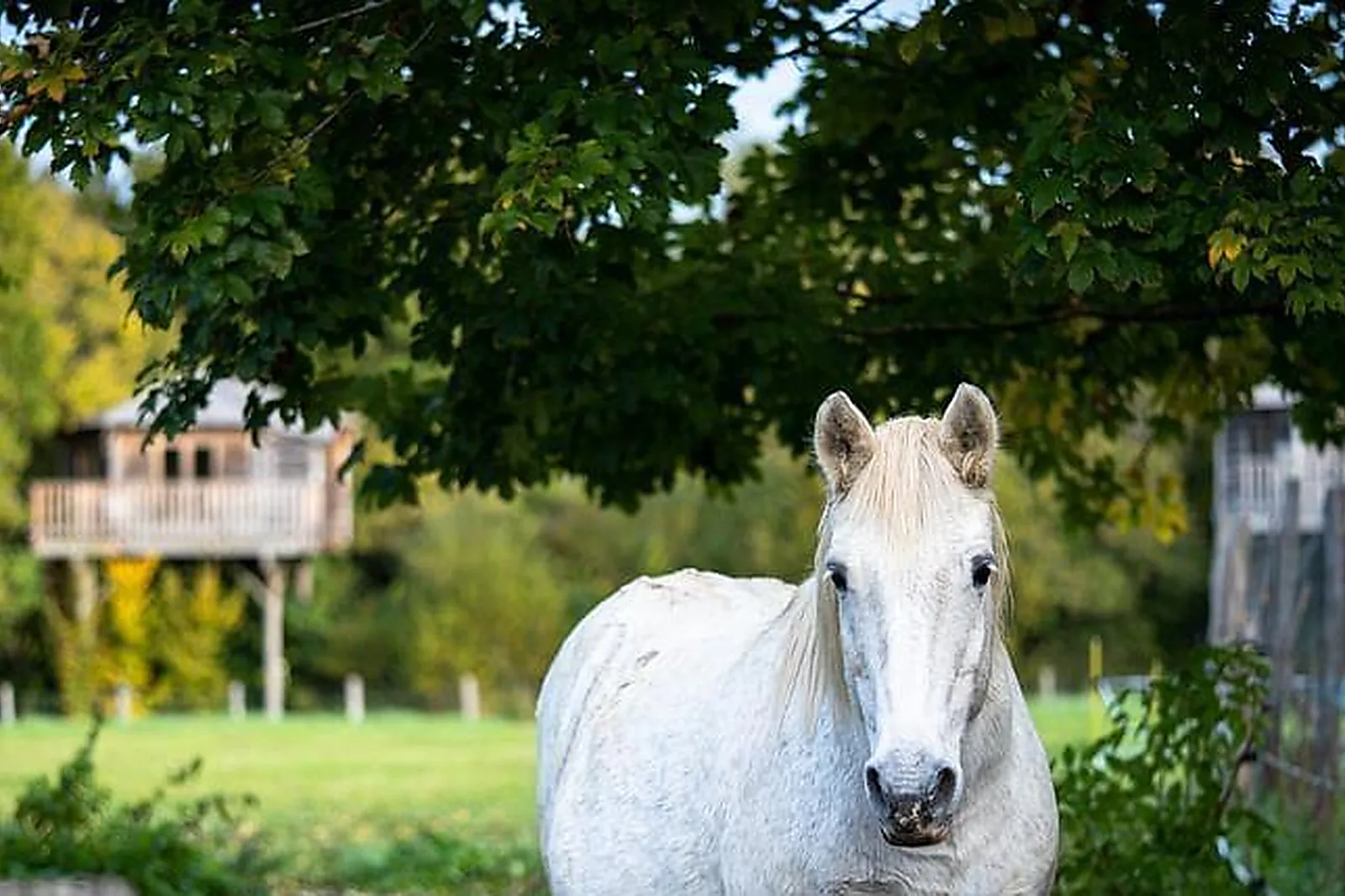 Lieux événementiels, KYRIAD SENS***