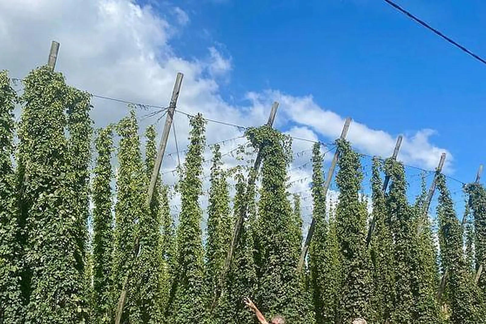 Lieux événementiels, FERME BRASSERIE BECK