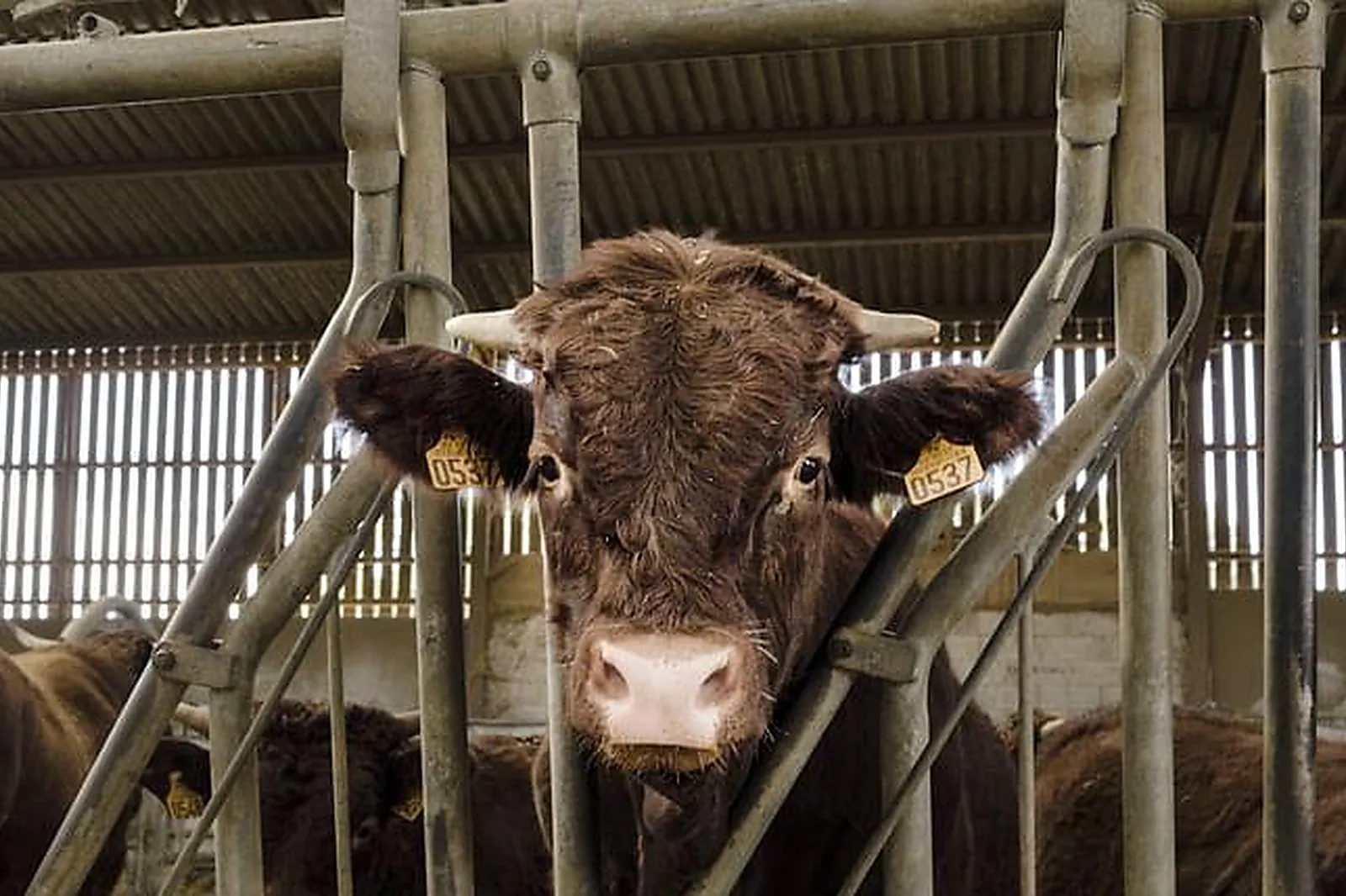 Lieux événementiels, FERME DE FONTENILLE