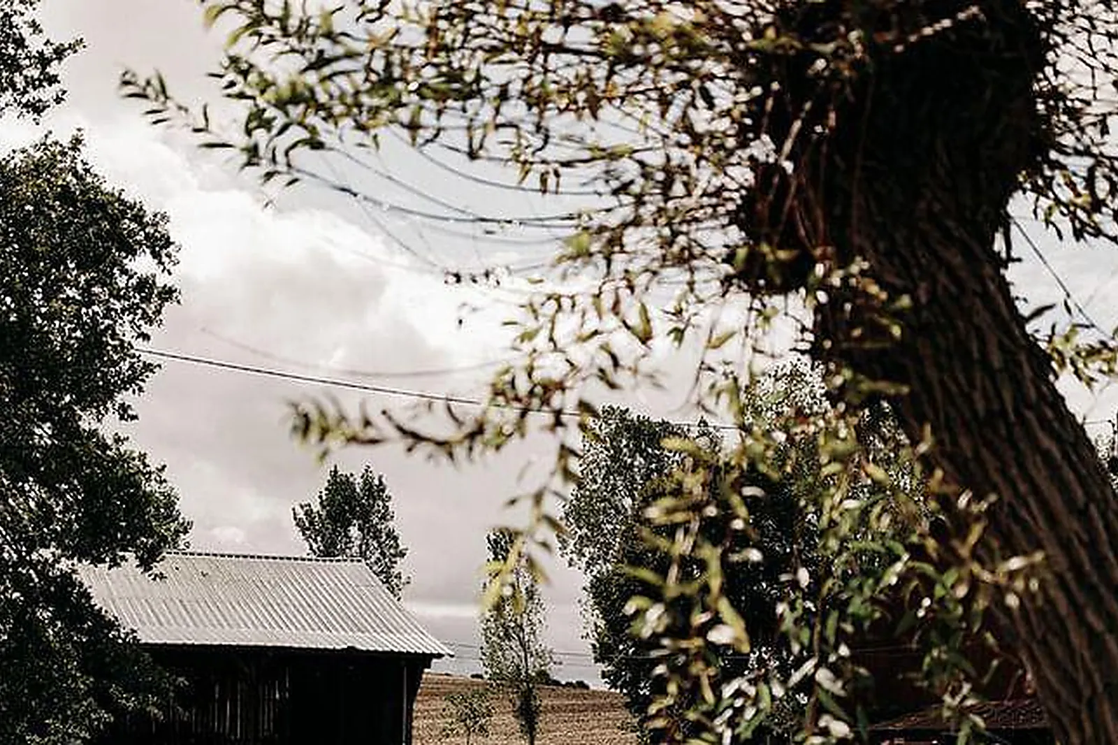 Lieux événementiels, FERME DU PRIEURÉ