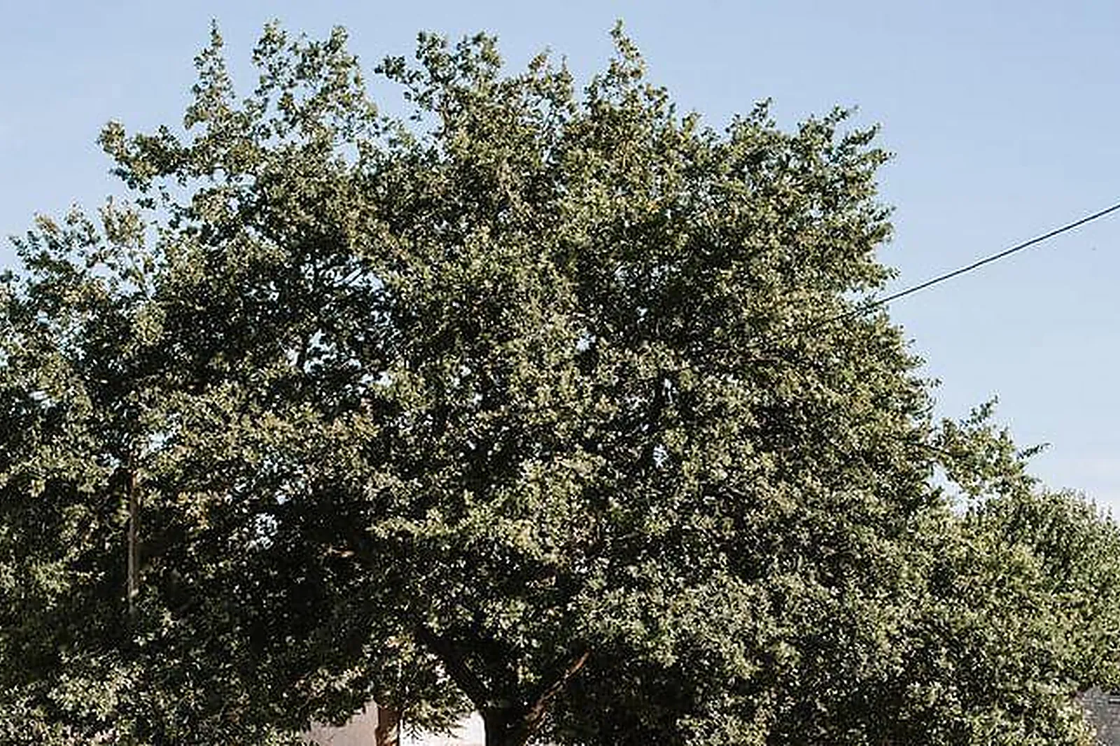 Lieux événementiels, FERME DU PRIEURÉ