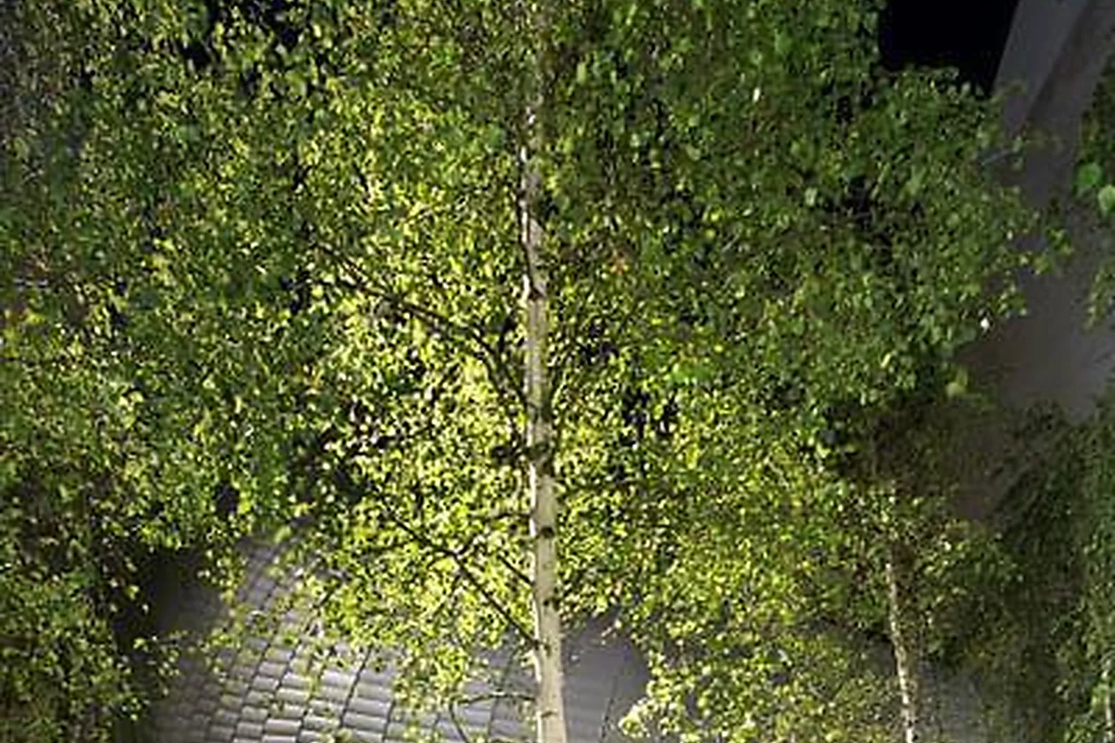 Lieux événementiels, FONDATION JÉRÔME SEYDOUX - PATHÉ