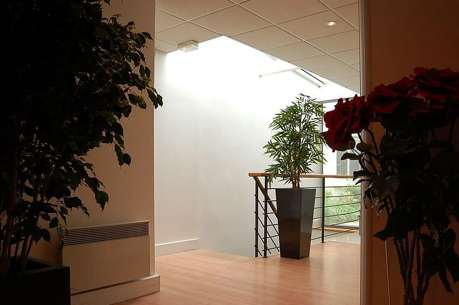 Lieux événementiels, MAISON PETROWSKI