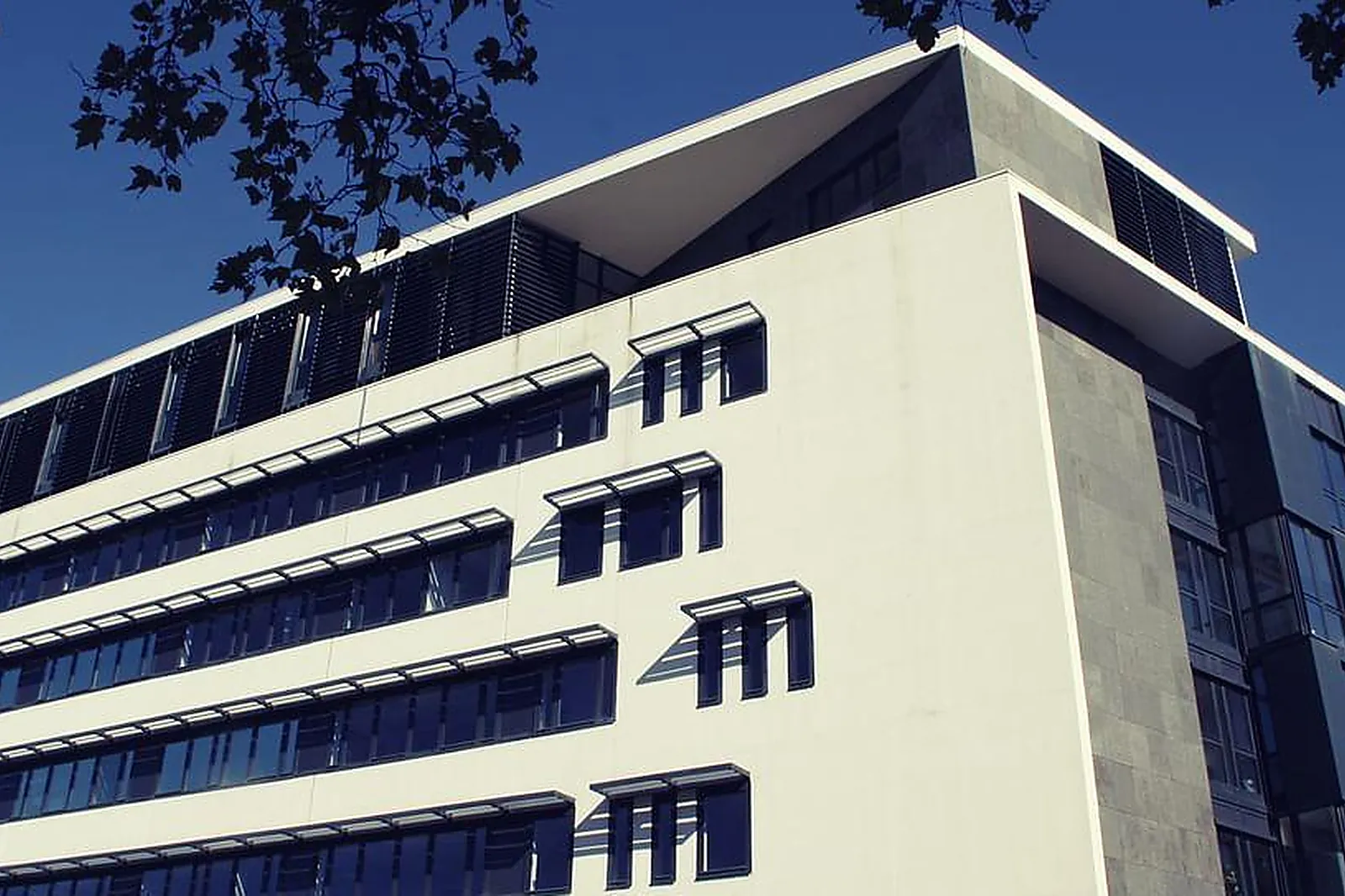 Lieux événementiels, SII LEARNING