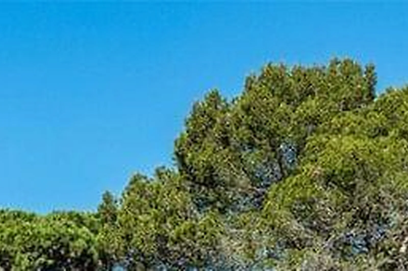 Lieux événementiels, GARRIGAE DOMAINE DE L'ESTÉREL ****