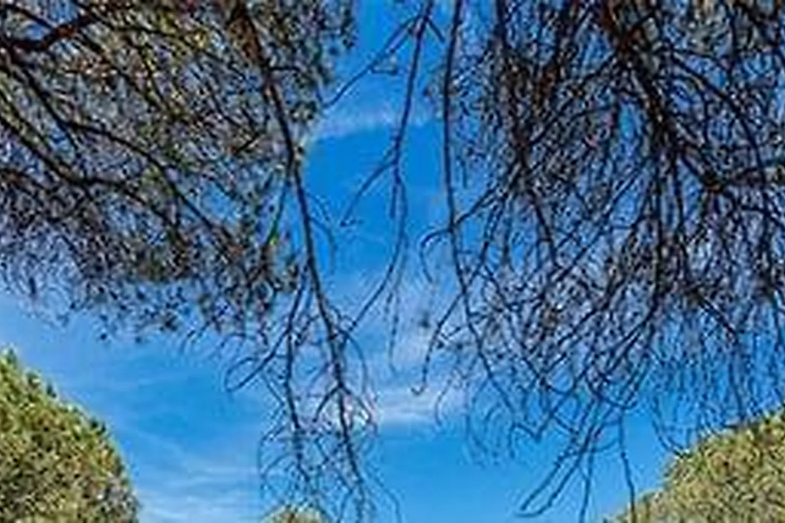 Lieux événementiels, GARRIGAE DOMAINE DE L'ESTÉREL ****