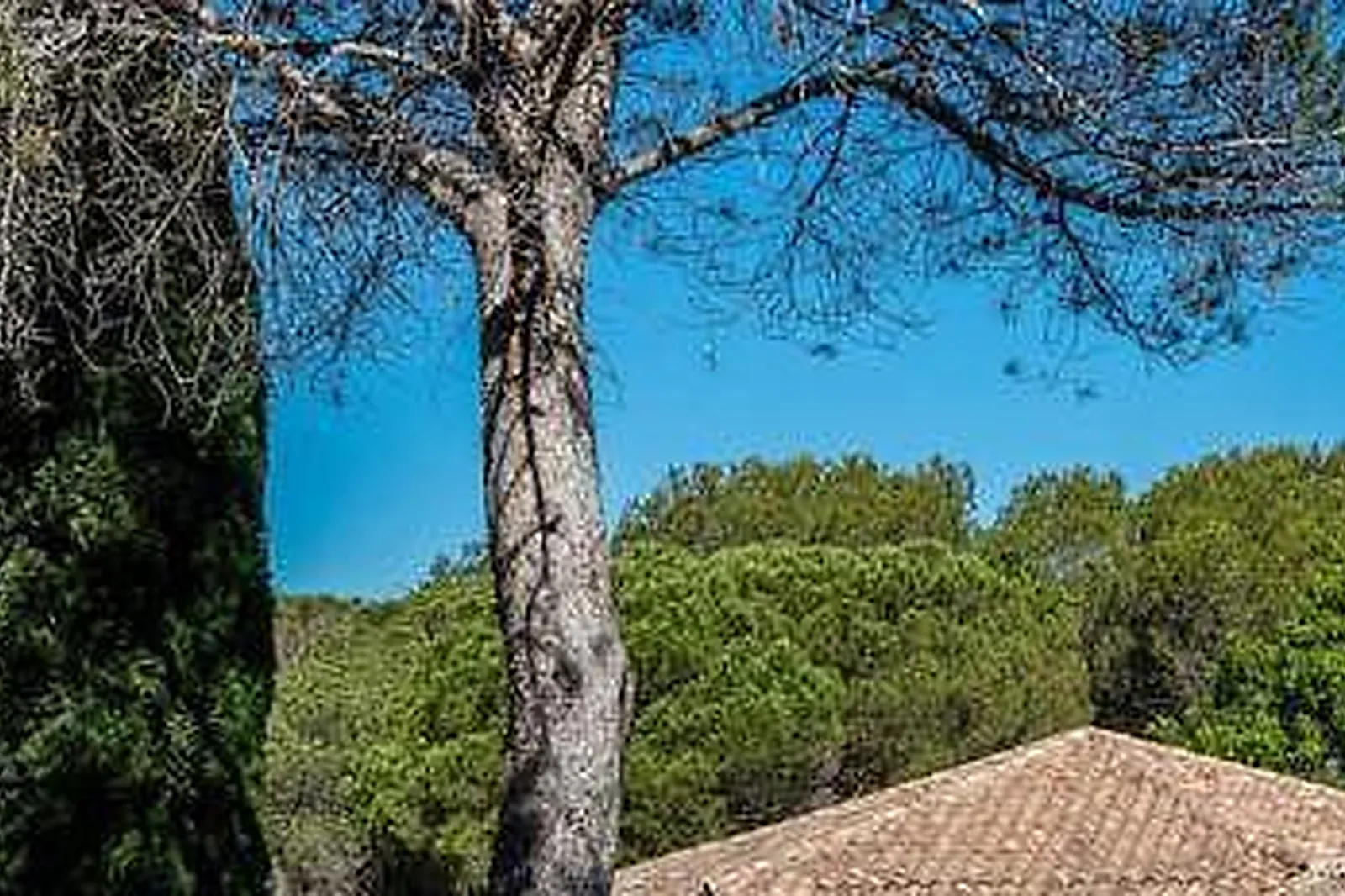 Lieux événementiels, GARRIGAE DOMAINE DE L'ESTÉREL ****