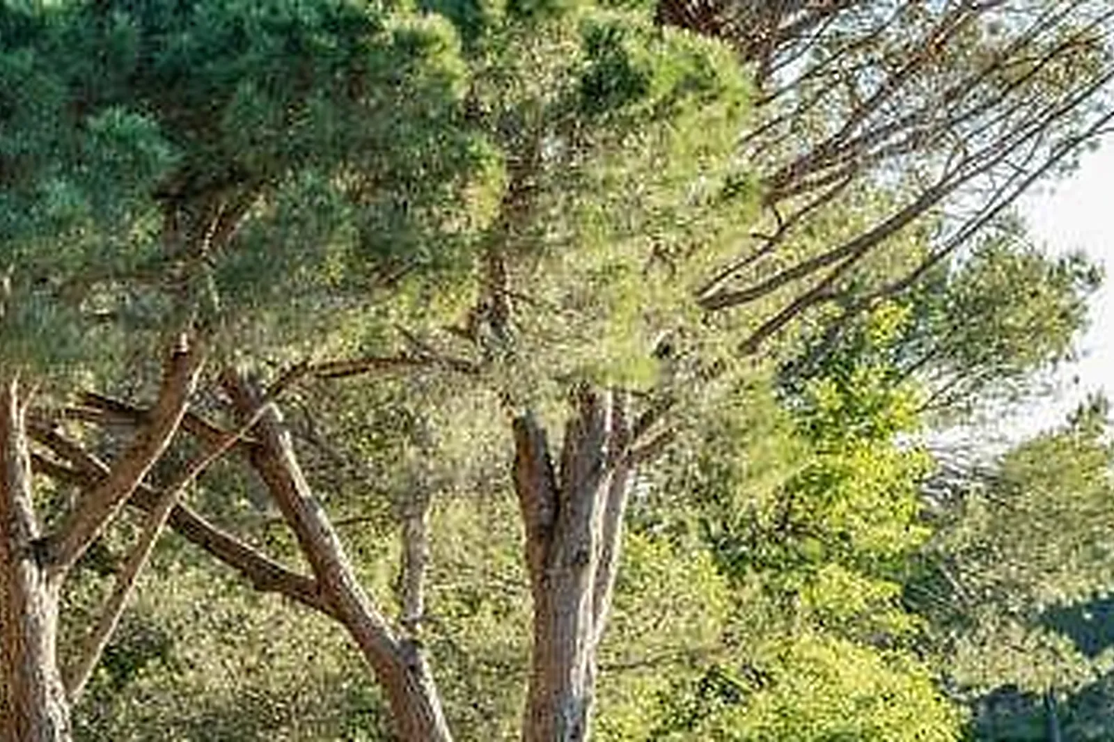 Lieux événementiels, GARRIGAE DOMAINE DE L'ESTÉREL ****