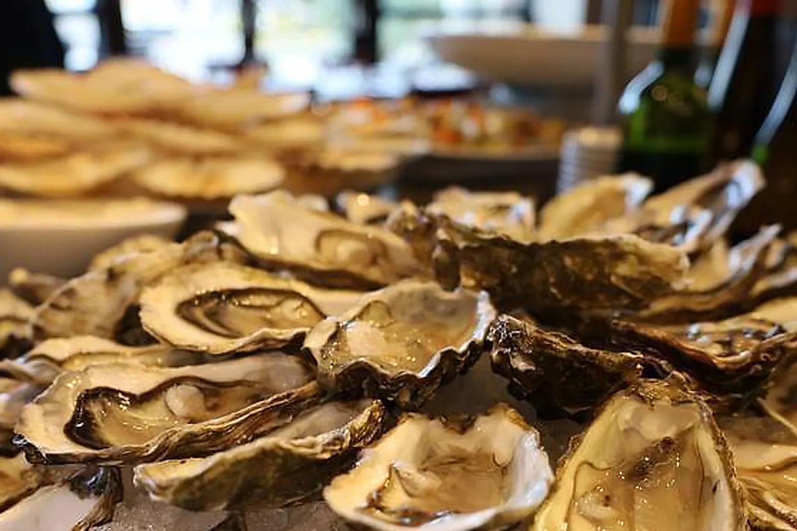 Lieux événementiels, GOLDEN TULIP CDG VILLEPINTE ****