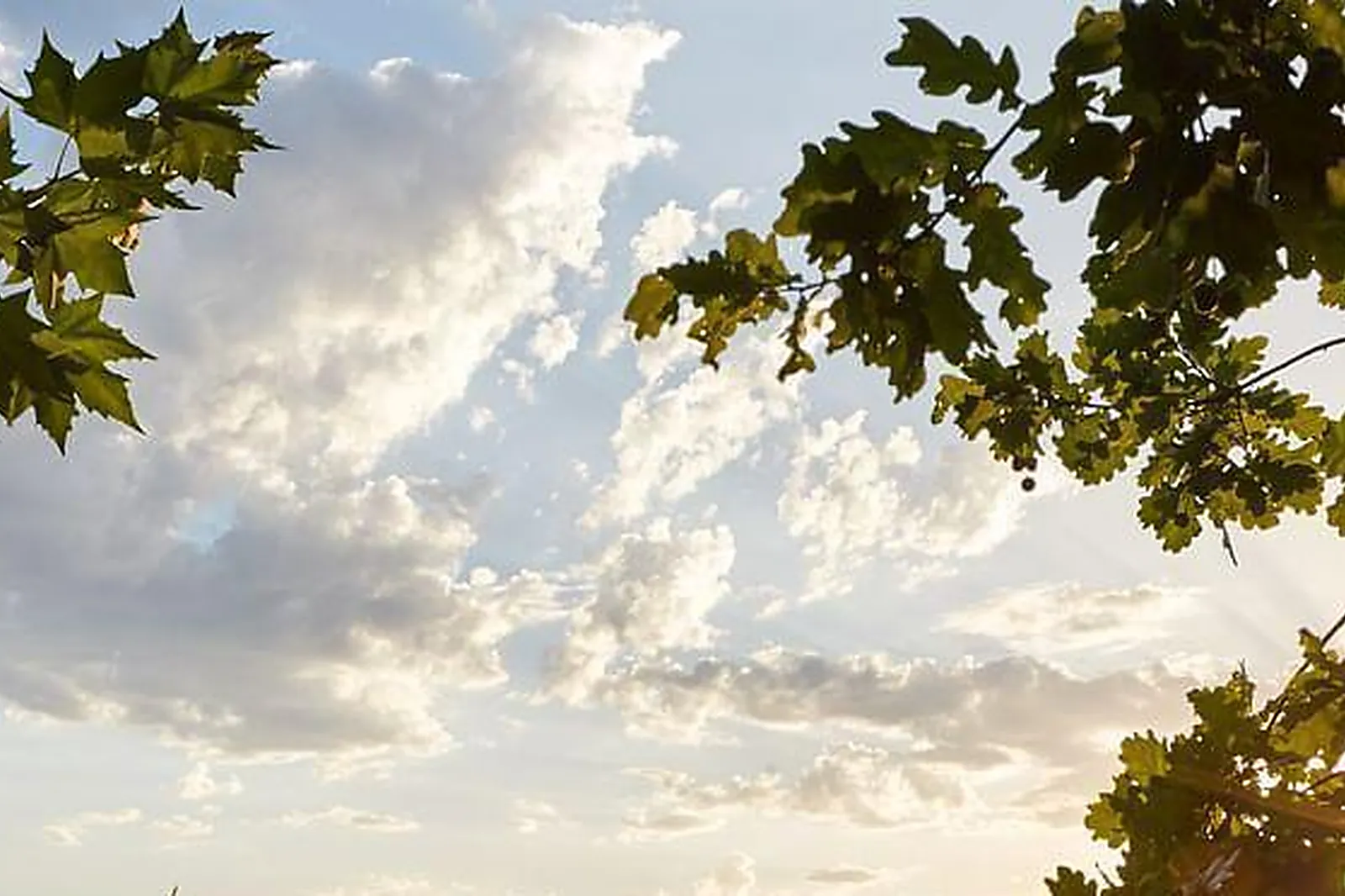 Lieux événementiels, GRAND BARRAIL CHÂTEAU HÔTEL ET SPA *****