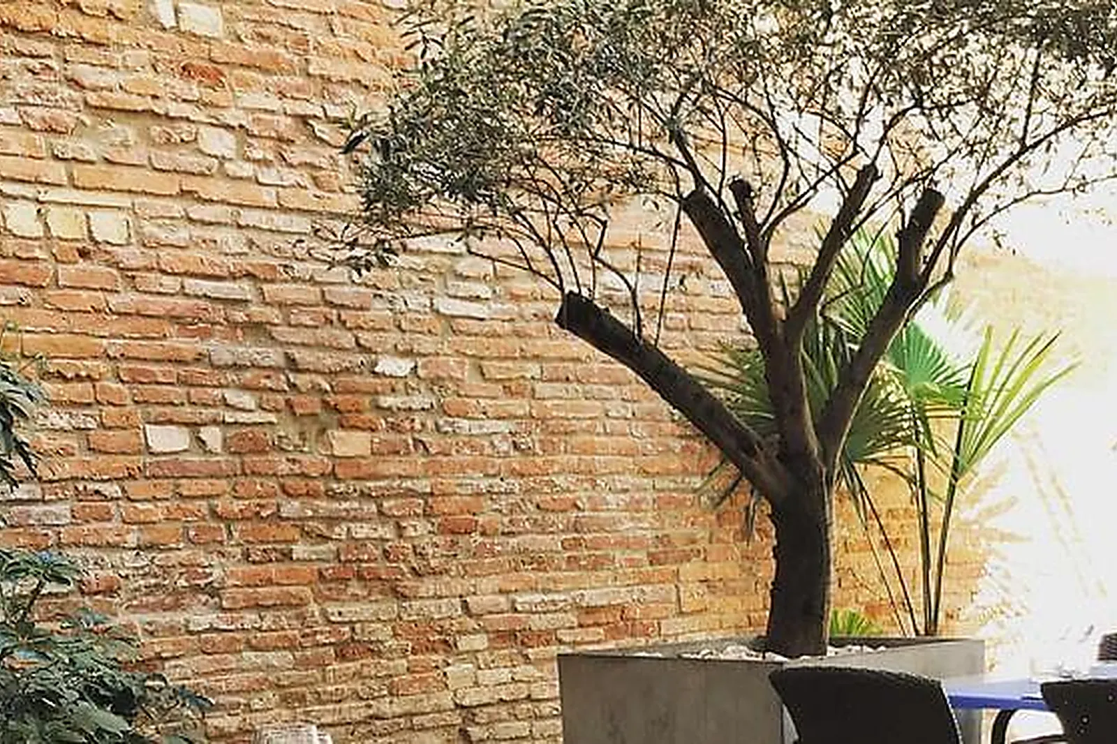 Lieux événementiels, GRAND HÔTEL D'ORLÉANS *** BRASSERIE LA RIPAILLE