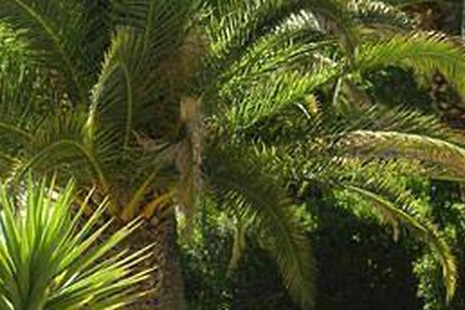 Lieux événementiels, GRAND HÔTEL LES LECQUES ***