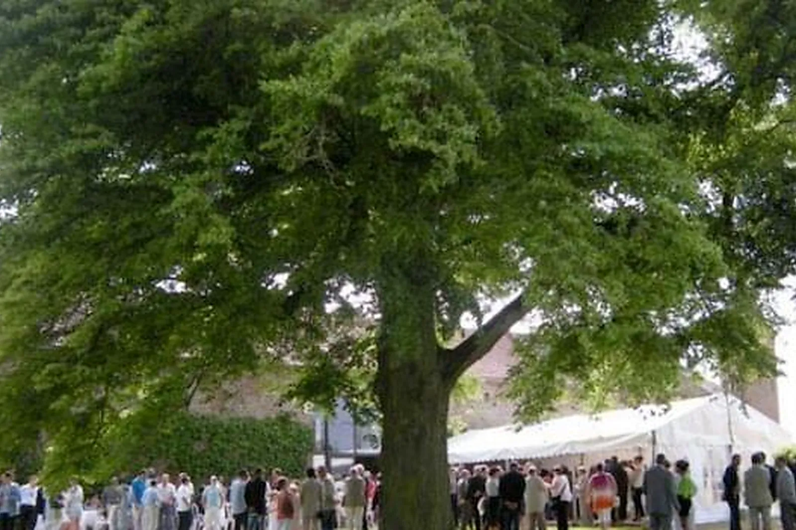Lieux événementiels, GRANGES DU BEL AIR