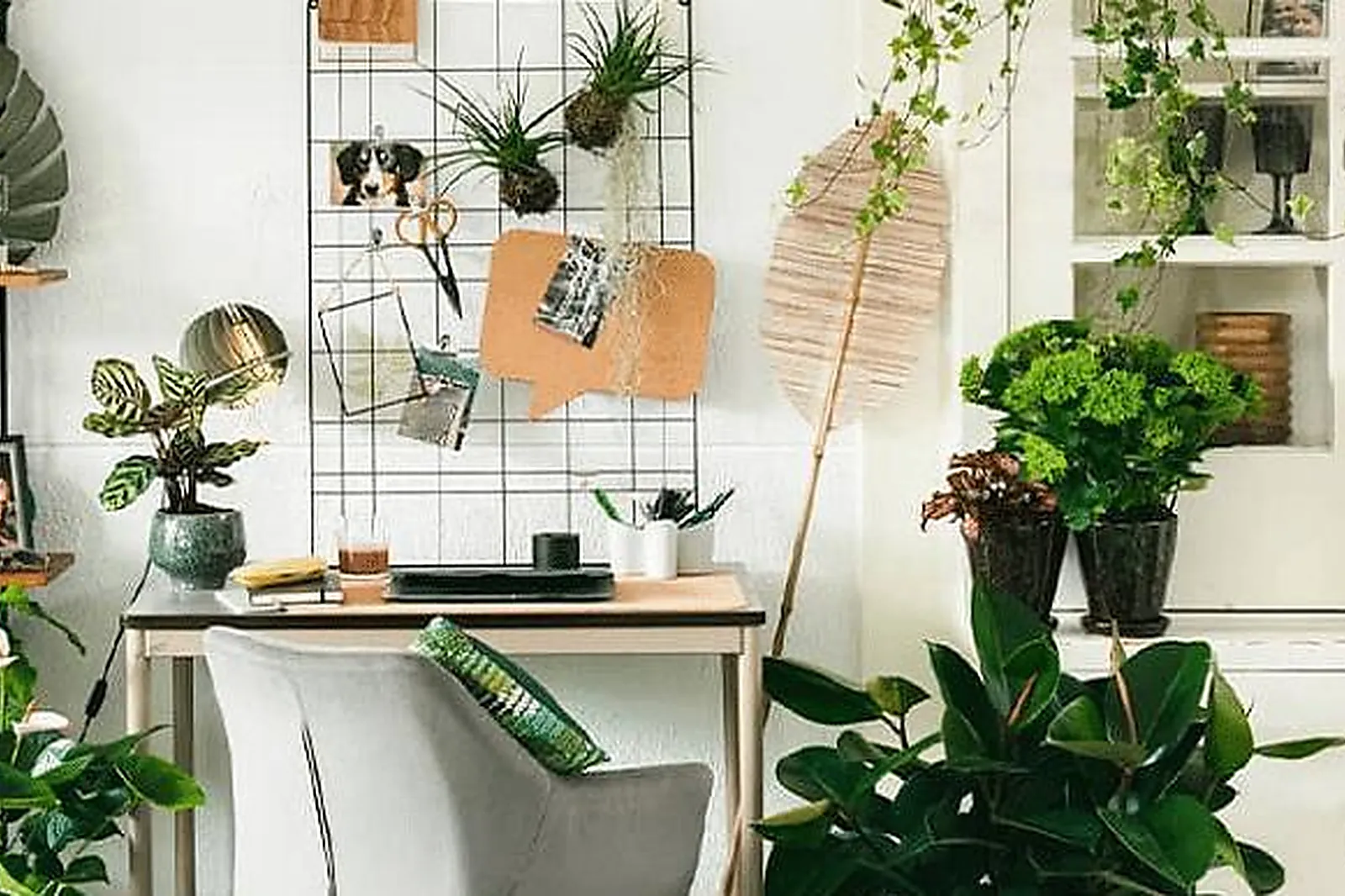 Lieux événementiels, ACHILLÉE