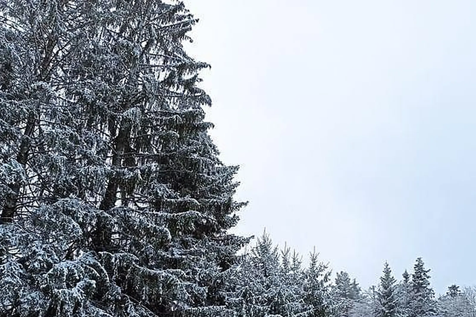 Lieux événementiels, GÎTES DE MARMONFOSSE