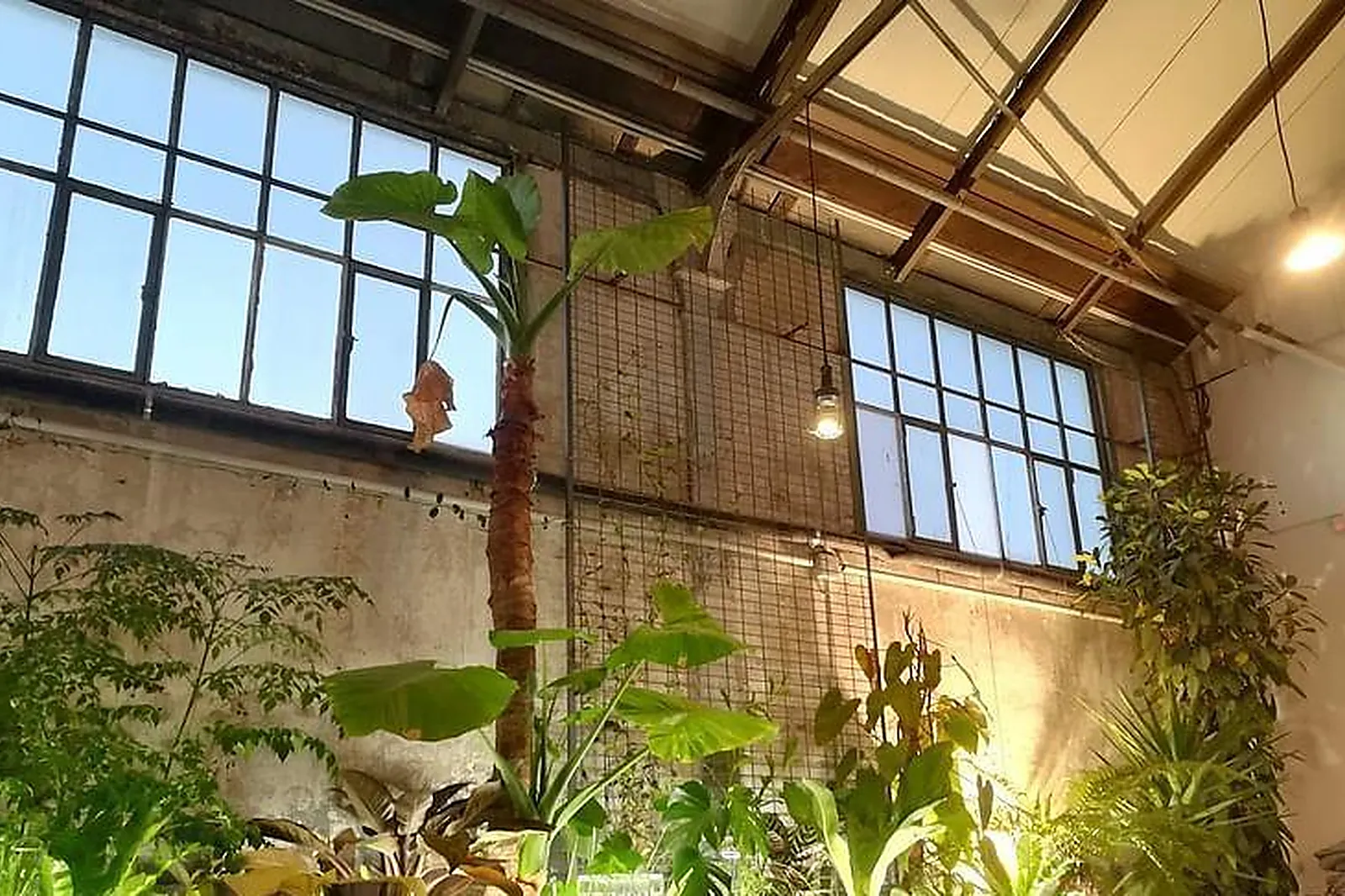 Lieux événementiels, THE PLACE TO BEES